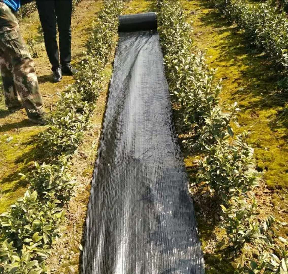 防草布、除草布